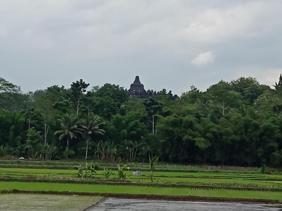 Penginapan & Guest House Mbok Dhe Borobudur มาเกอลัง ภายนอก รูปภาพ